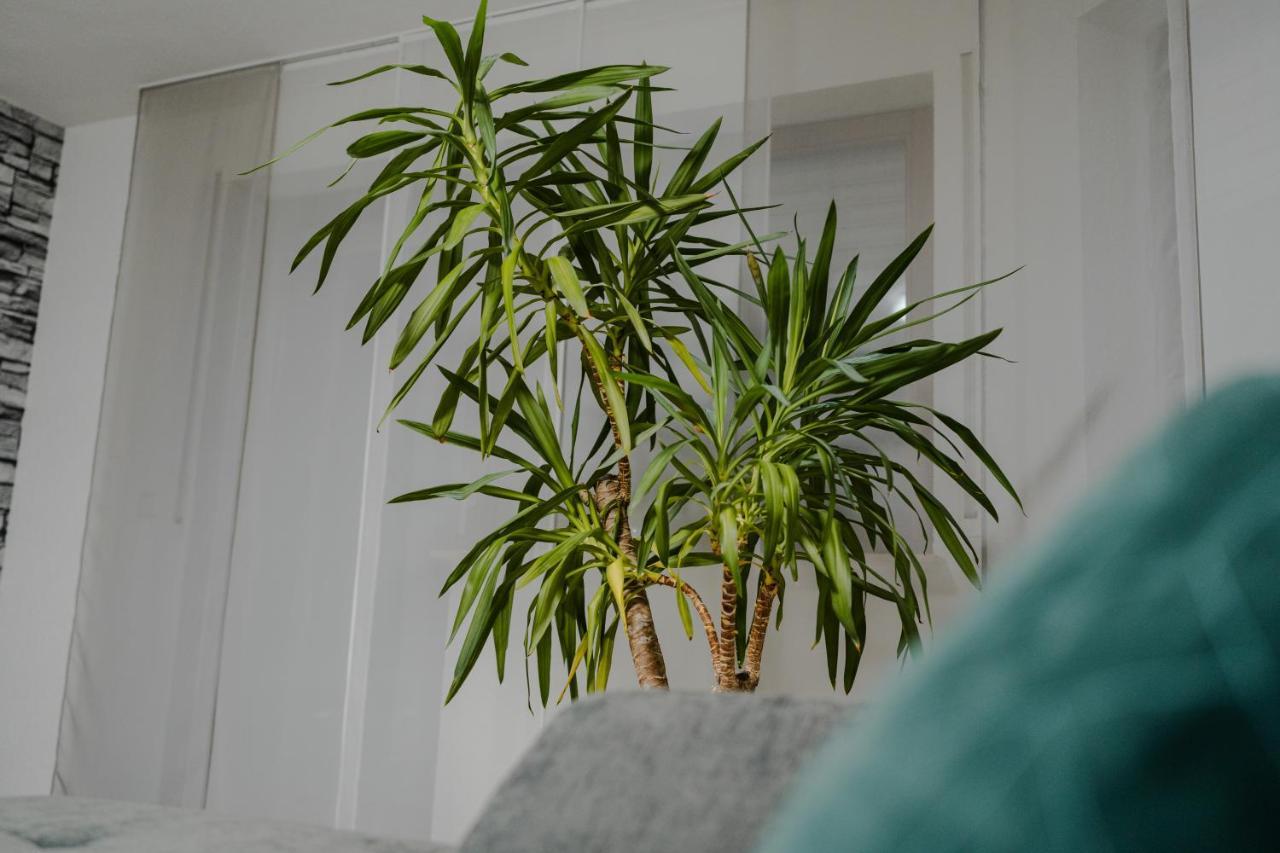 Modern - Ruhige Lage - Zentrumsnah - 2-Zimmer Apartment ฮอร์บ อัม เนคคาร์ ภายนอก รูปภาพ